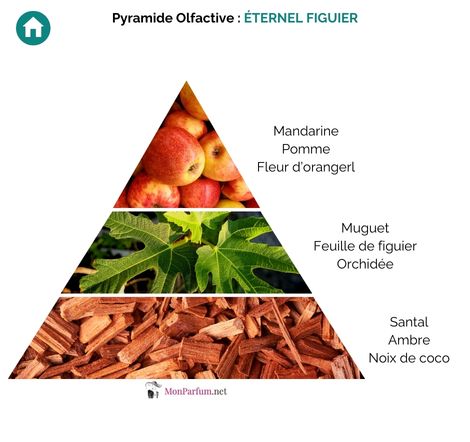 ETERNEL FIGUIER 100 ML – Image 2